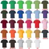 t shirt color chart - Hollow Knight Store